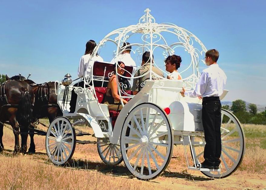 Clydesdale carriage with riders at event
