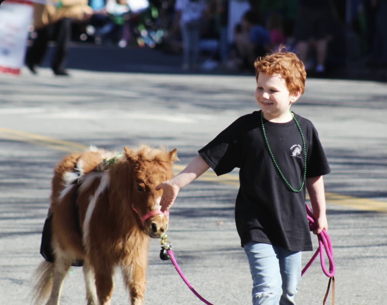 CDA Downtown Association using Tribal Cowboy mini horse in St. Patrick's Parade countdown promotional post