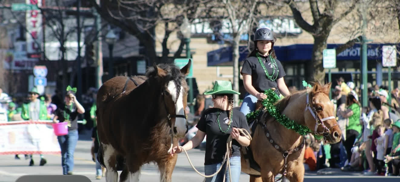 Visit Coeur d'Alene Instagram post featuring Tribal Cowboy Clydesdale at the St. Patrick's Day Parade