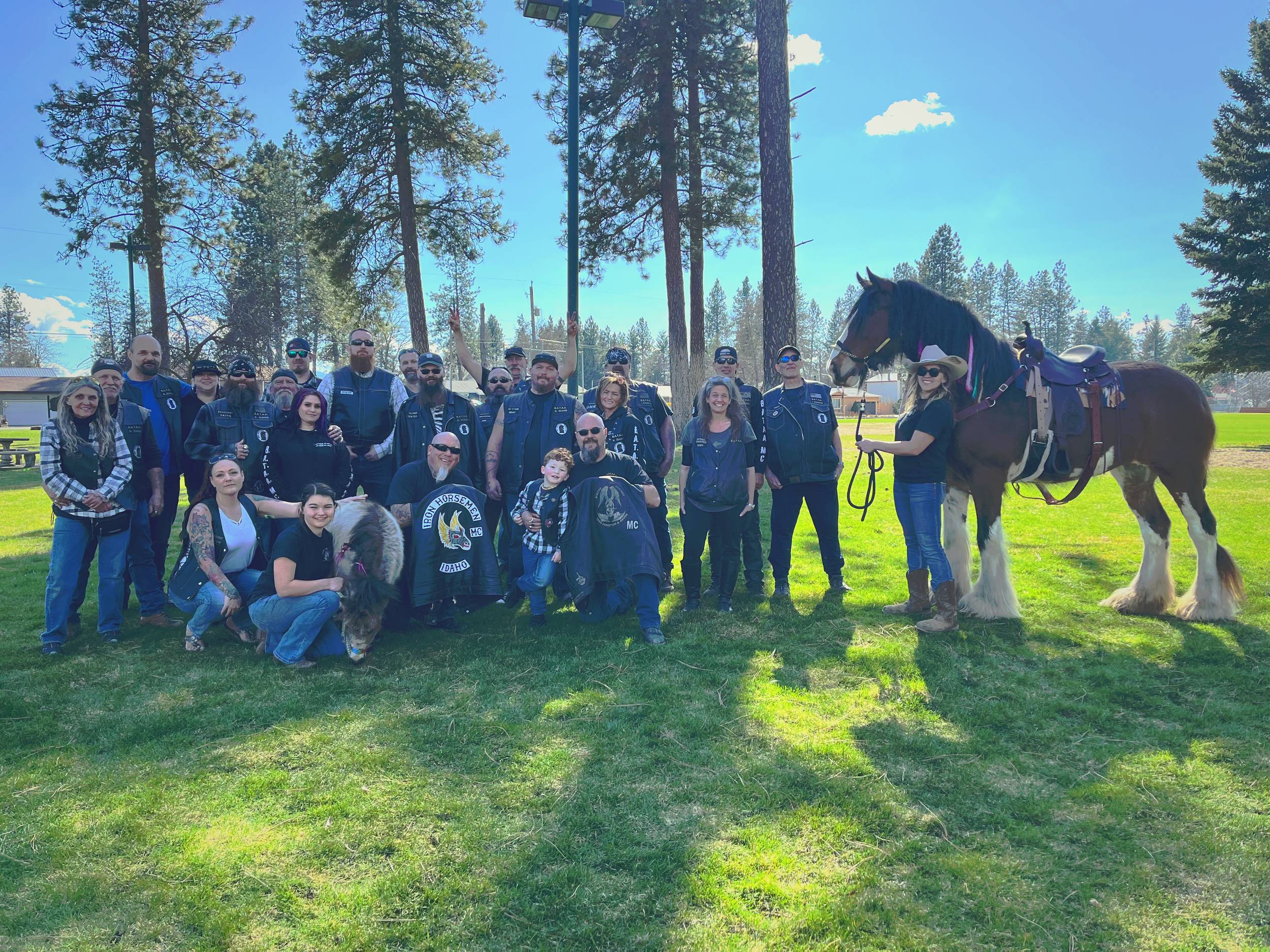 Community group with Clydesdale — event photography North Idaho