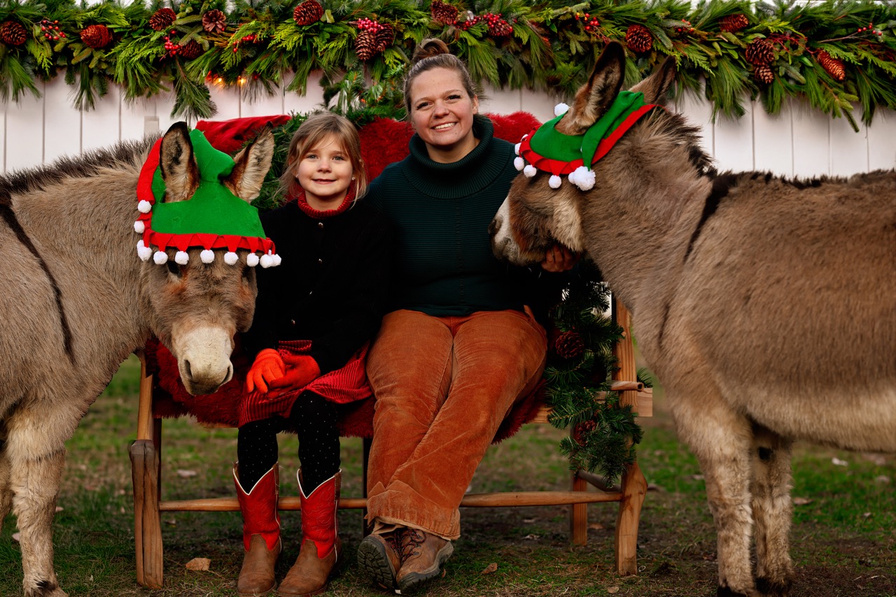 Holiday portrait session with donkeys in elf costumes — Tribal Cowboy North Idaho
