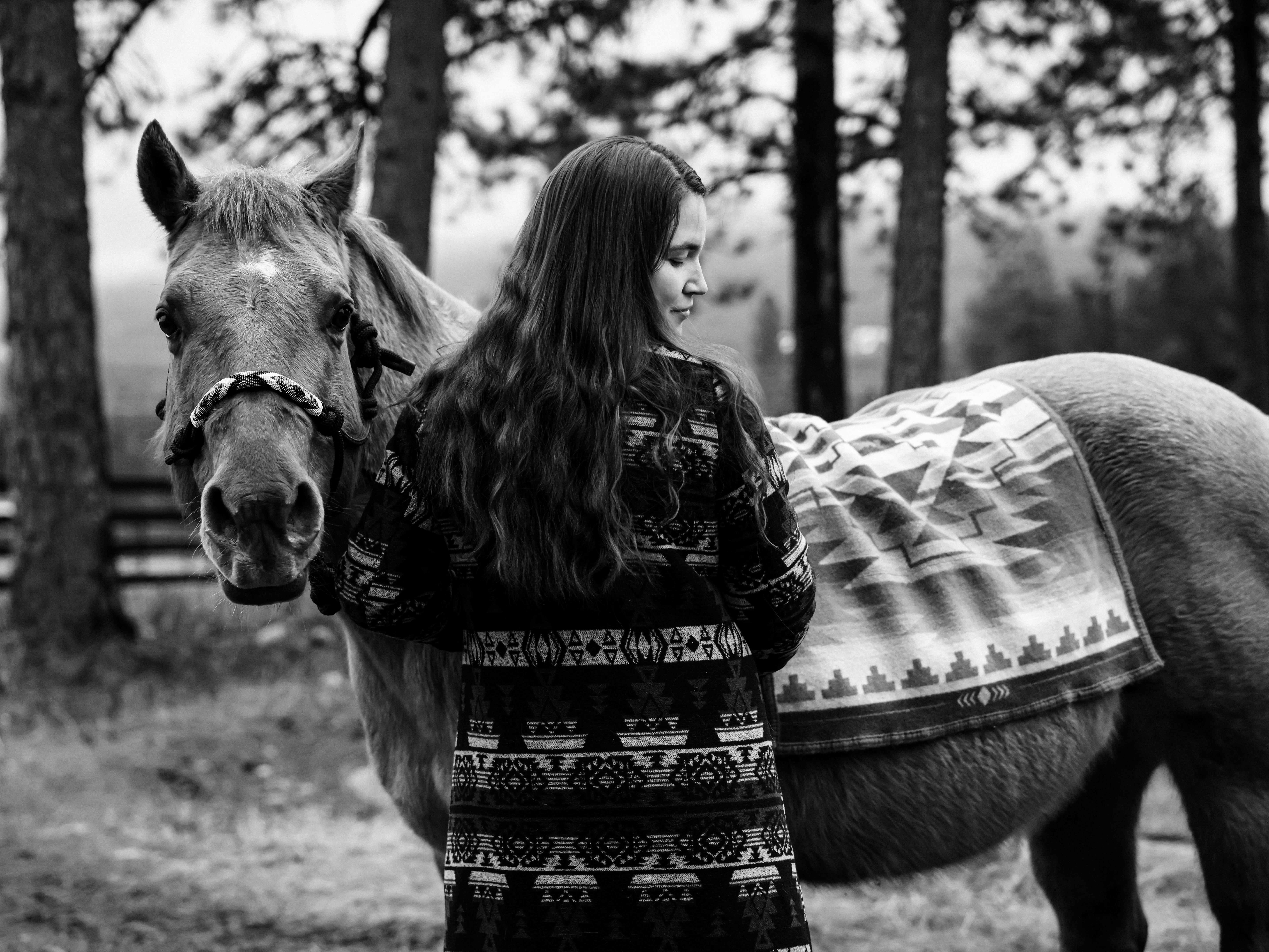 Equine portrait on location — North Idaho horse photography by Tribal Cowboy