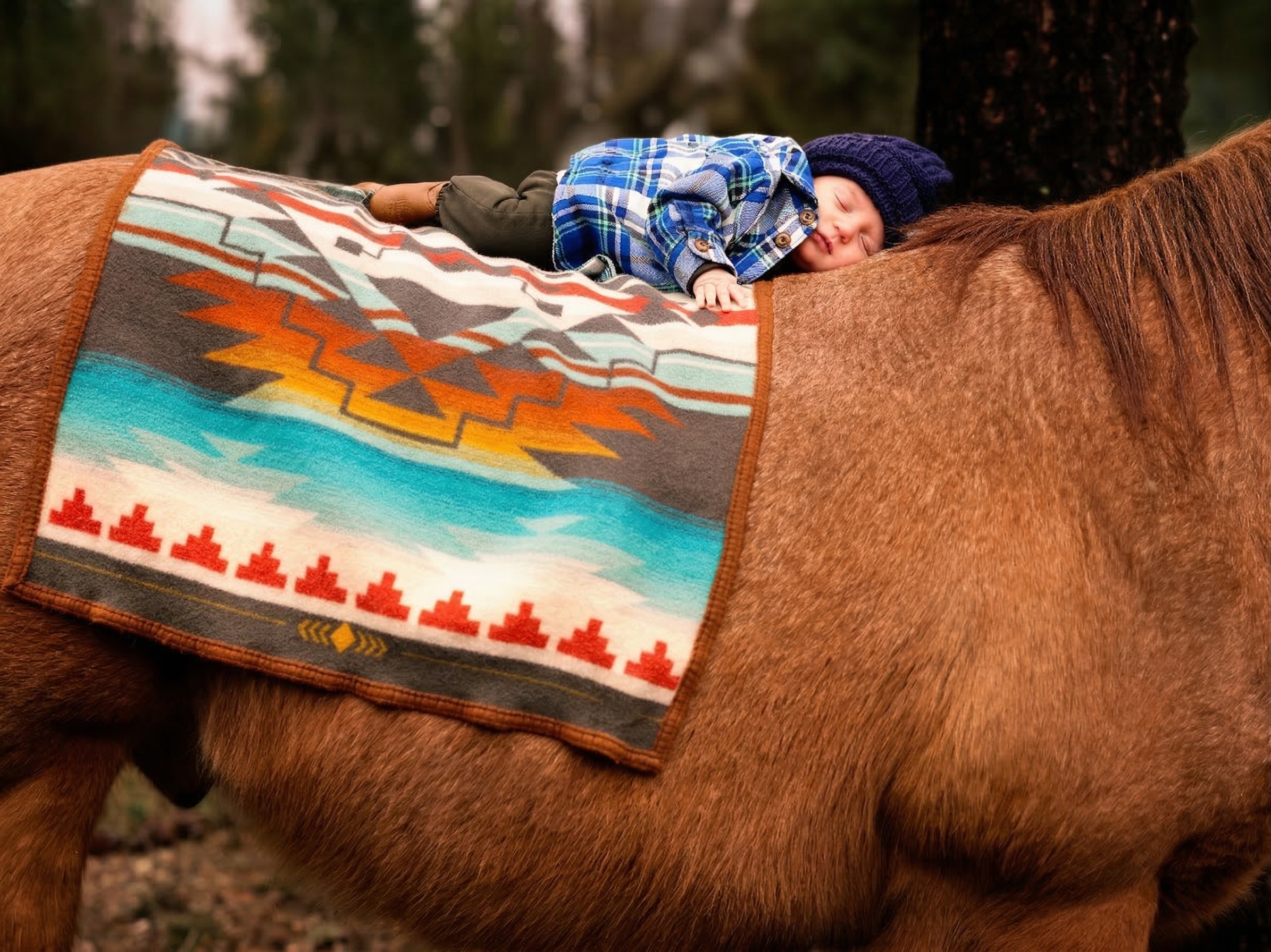 Newborn baby resting on horse with Pendleton blanket — equine portrait session by Tribal Cowboy North Idaho