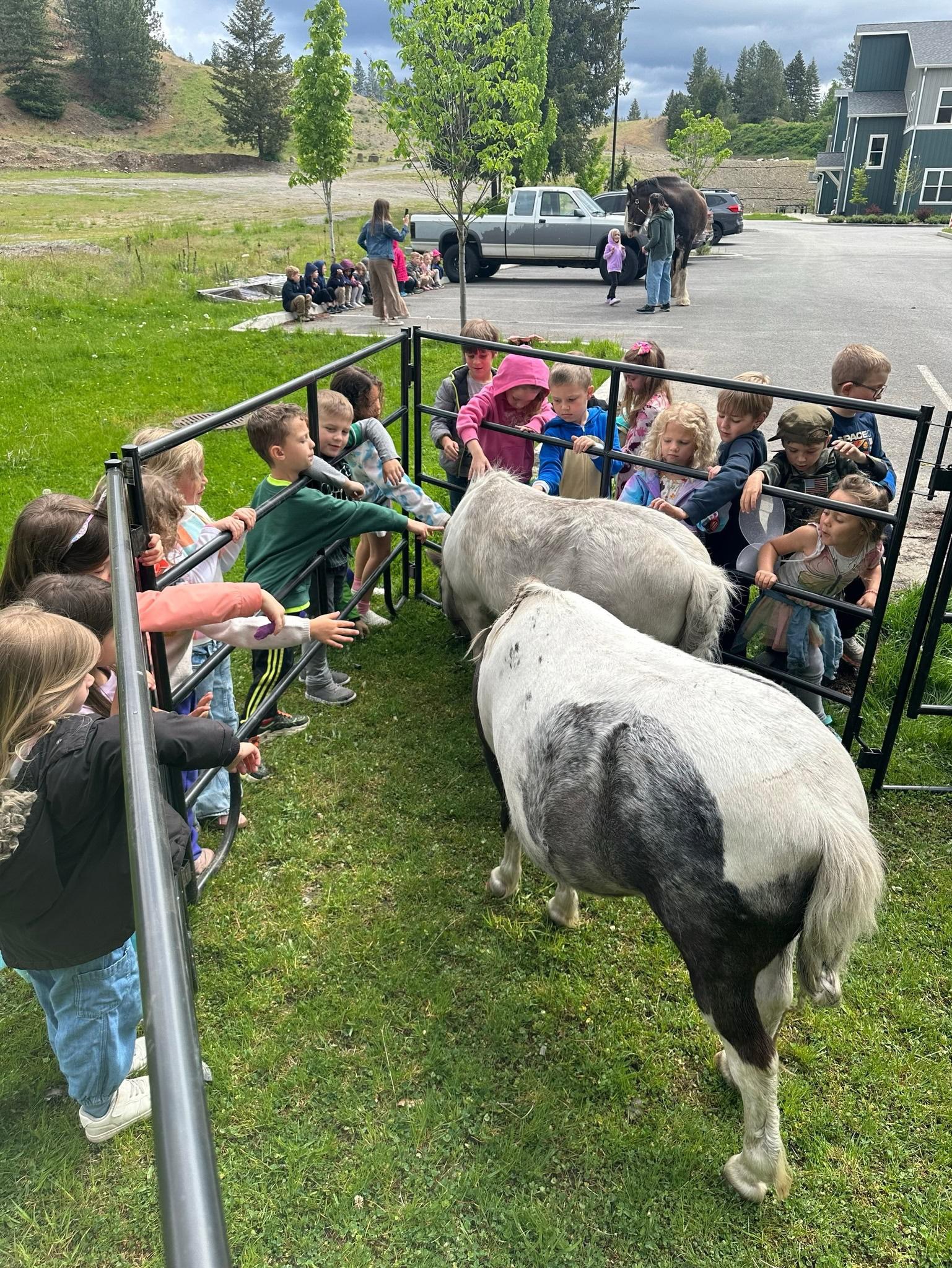 Children petting miniature horses at a Tribal Cowboy school visit in North Idaho