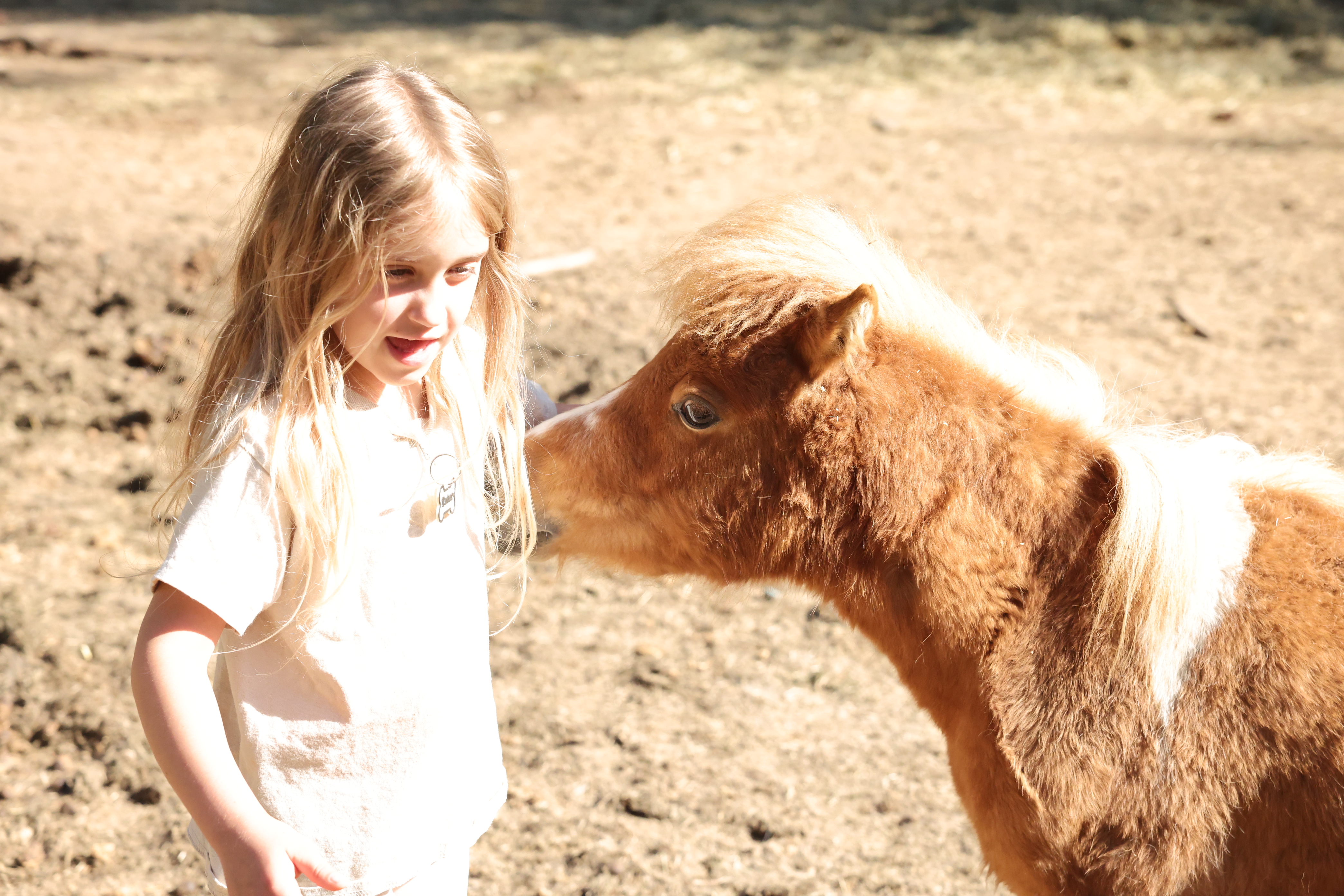 Girl meeting a miniature horse at a Tribal Cowboy pony party in North Idaho